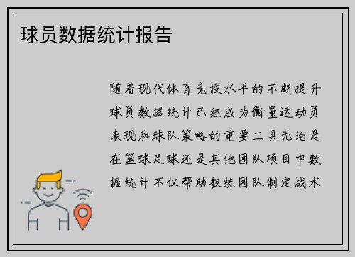 球员数据统计报告